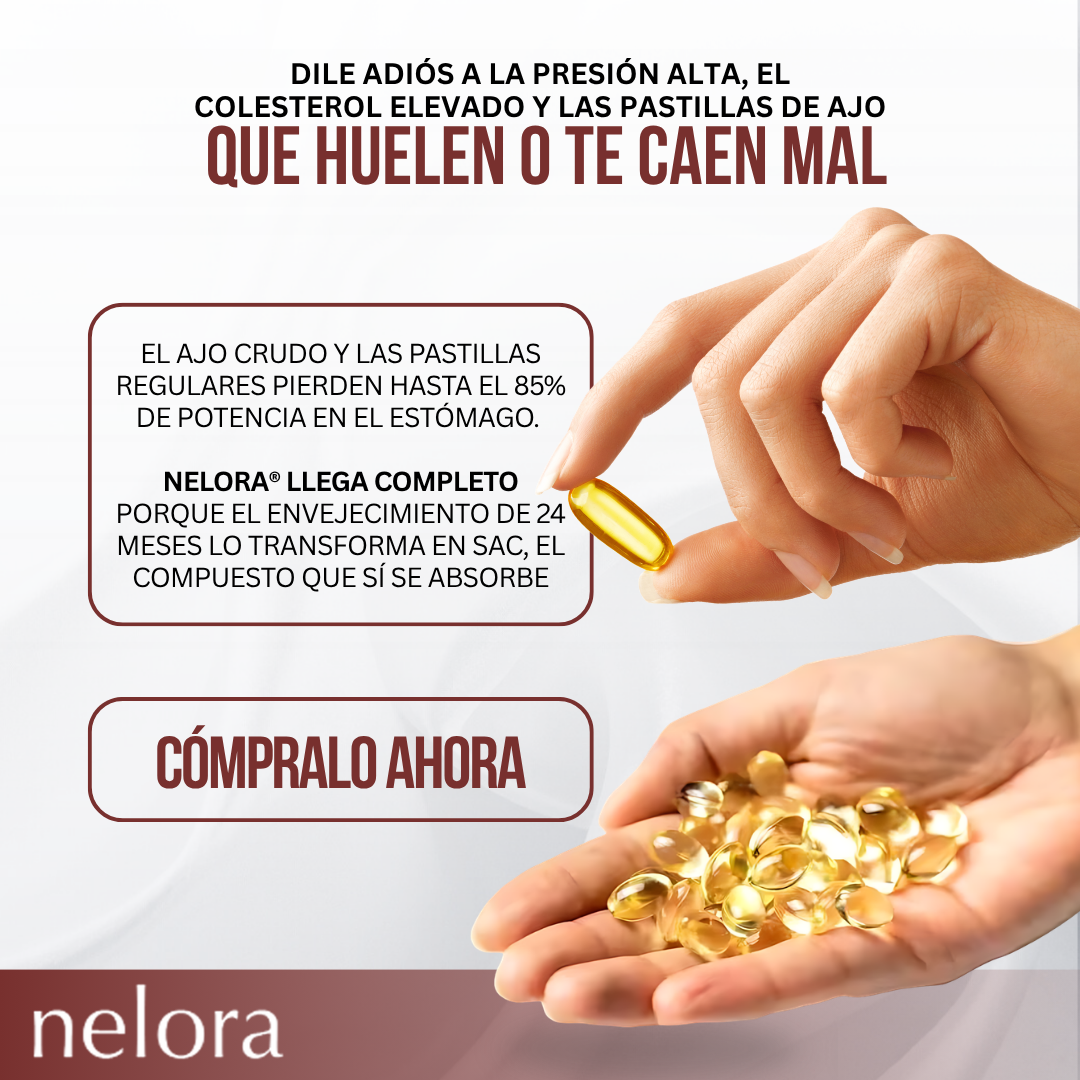 Nelora® Regulador para Bajar la Presión