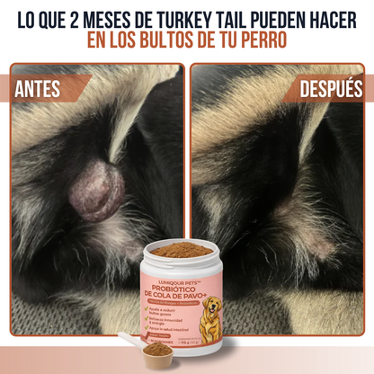 Lumiqour™ Turkey Tail+ Suplemento Probiótico para Perros
