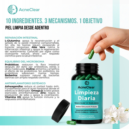 AcneClear™ | 10 ingredientes activos en 3 mecanismos para apoyar la salud intestinal y mejorar la apariencia del acné desde adentro