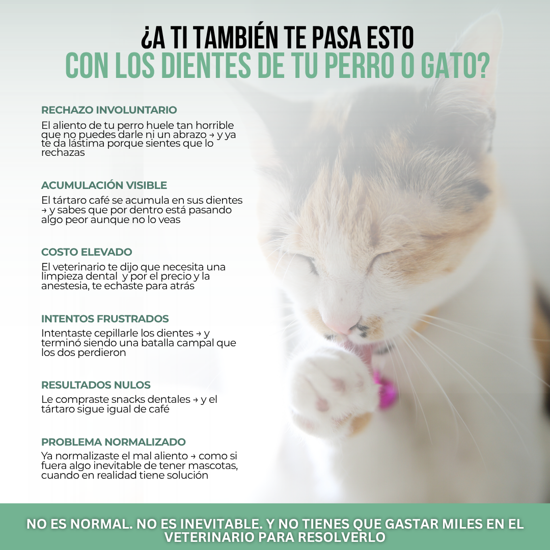 PetClean™ — Dientes Limpios y Aliento Fresco para Perros y Gatos · Sin Cepillo y Sin Anestesia