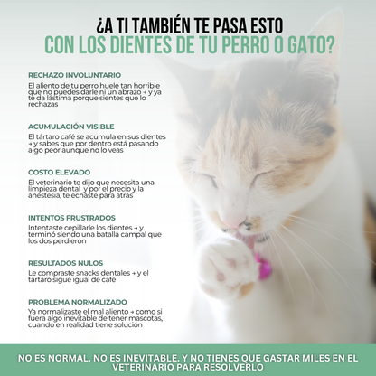PetClean™ — Dientes Limpios y Aliento Fresco para Perros y Gatos · Sin Cepillo y Sin Anestesia