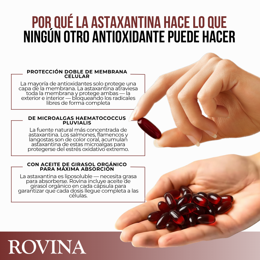 Rovina® | El Antioxidante Más Poderoso de la Naturaleza.