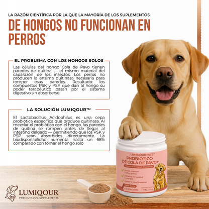 Lumiqour™ Turkey Tail+ Suplemento Probiótico para Perros